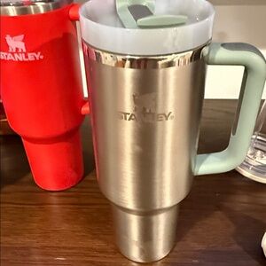 Stanley Silver Tumbler with Mint Handle